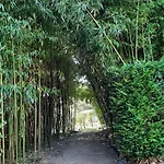 Puravida Lagnieu