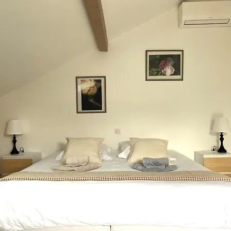 Lodge Puravida